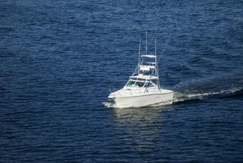 One of Our Charter Boats