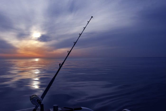 Fishing at night