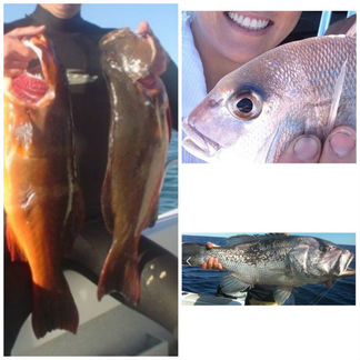 Perth Fishing Charters