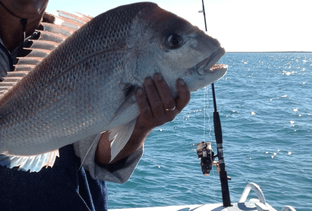 Fishing Charters Shark Bay