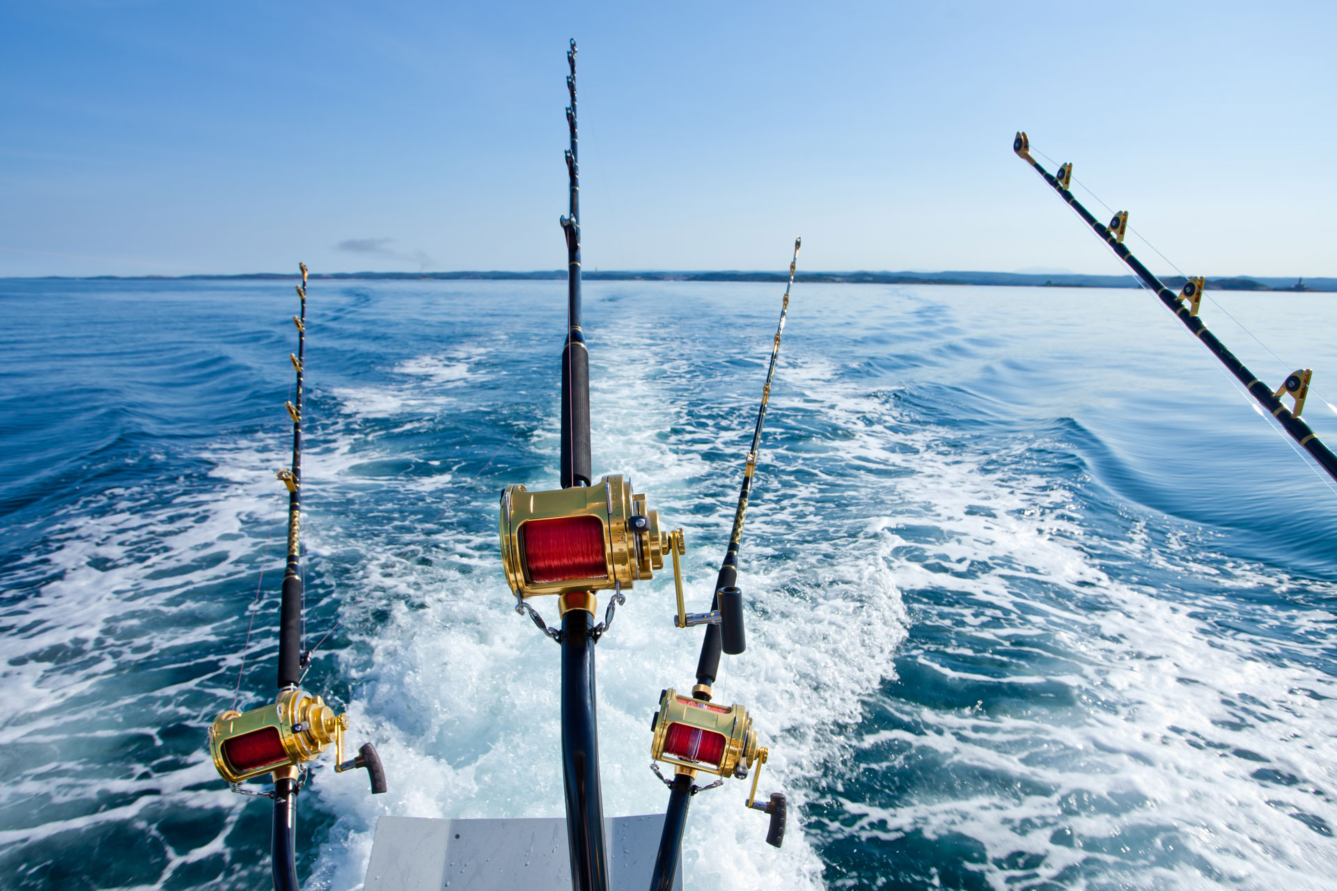 Fishing charter excursions and cruises are lovely and unique gifts