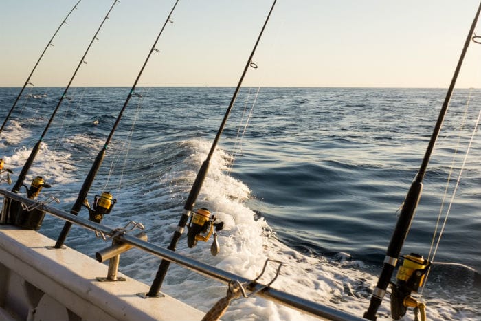 We offer several types of cruises and fishing charters designed to thrill all members of your family