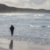 A fisherman in the water with a surf rod on a West Australian beach.